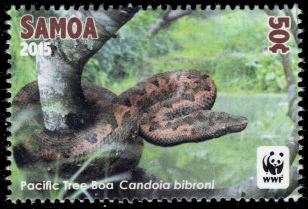 Samoa 1202 - Pacific Tree Boa "candoia Bibroni" (pb56073)