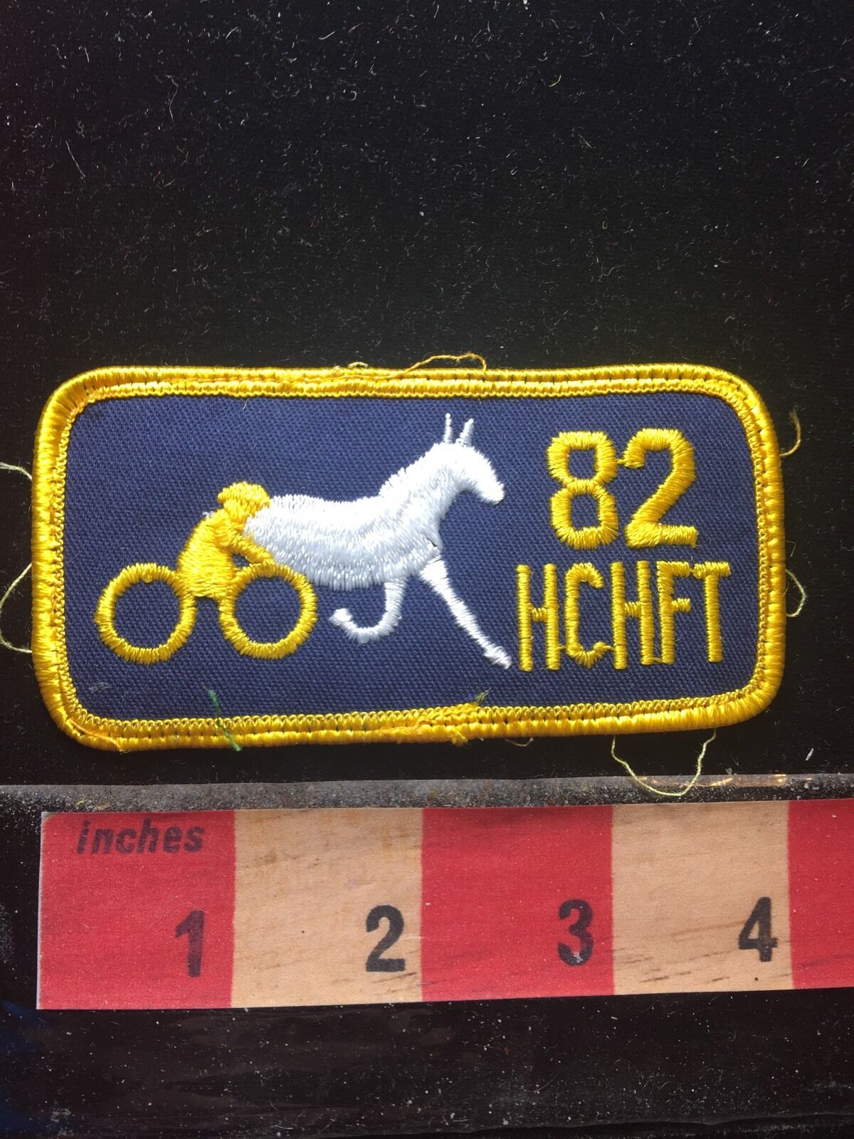 Vtg 1982 Hanover Cyclers Horse Farm Tour Pennsylvania Bicycle Chariot Patch 73ww