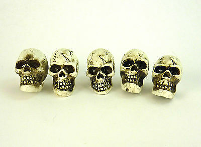 Dollhouse Miniature Set Of 5 Spooky Halloween Skulls,16497
